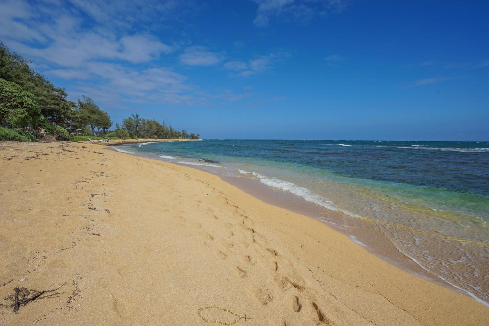 Seaview At The Islander On The Beach Oceanview Studio 201 カパア エクステリア 写真